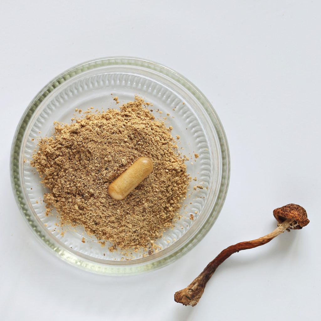 Ground medicinal mushroom powder in glass bowl with supplement capsule and dried mushroom stem beside